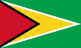 Flag of Guyana